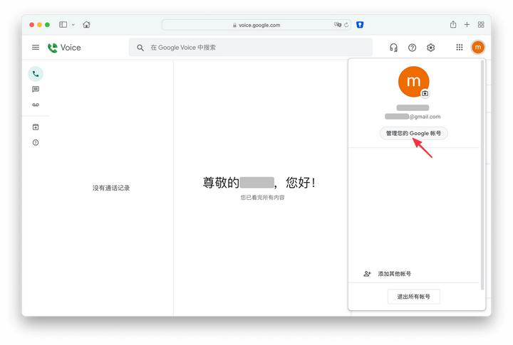 Google Voice