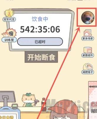 喵喵轻断食瘦身