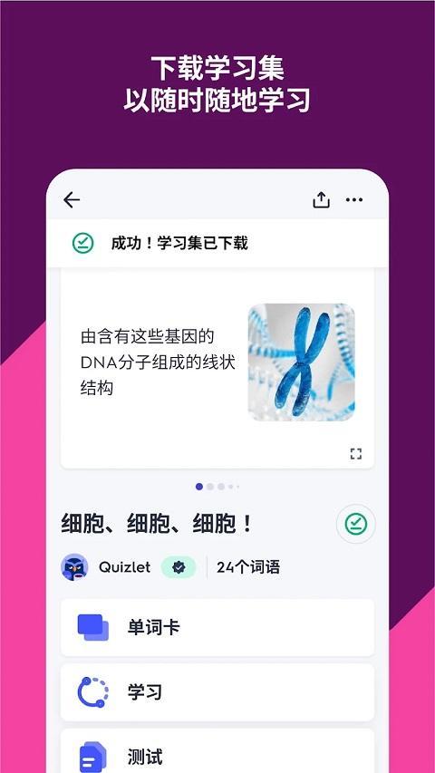 Quizlet安卓版2024最新版