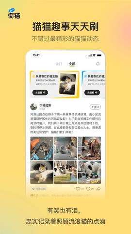 街猫最新版