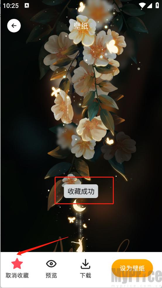 TrAni壁纸