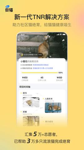 街猫最新版