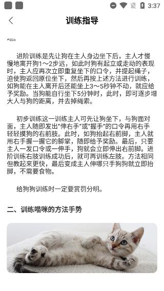 动物翻译器全部动物