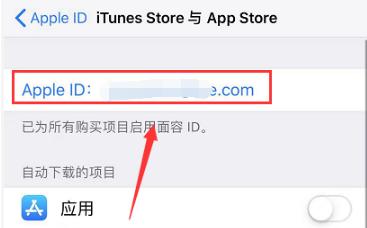 ios应用商店苹果