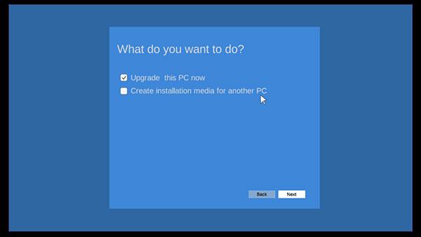 Windows11模拟器