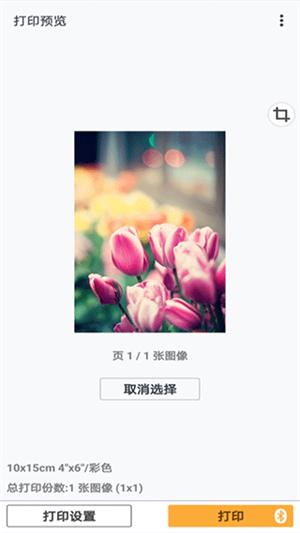 佳能打印2.7.3