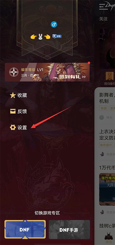 dnf助手