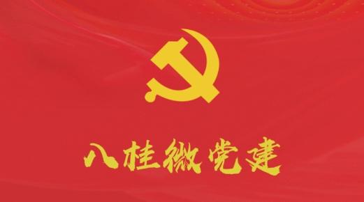 八桂微党建app官方版