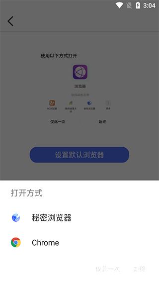 秘密浏览器手机版