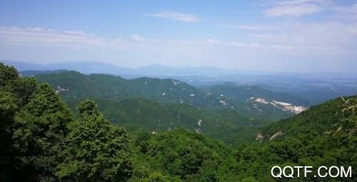 云上南召新闻客户端
