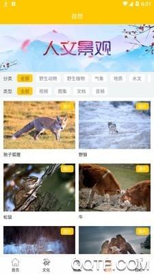 智游大草原app安卓版