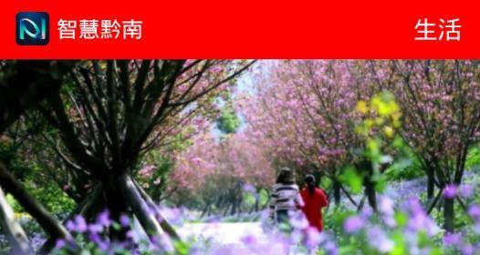 智慧黔南移动门户安卓版， 智慧黔南移动门户安卓版