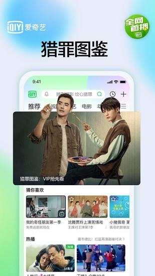 爱奇艺视频下载