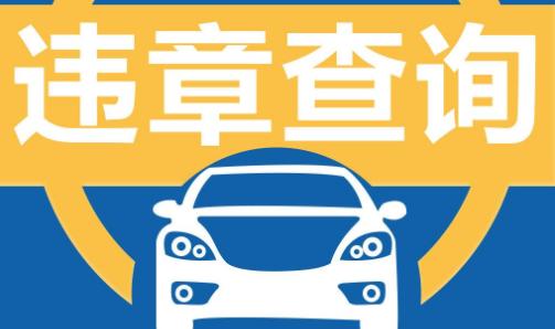 交管违章秘书app手机版