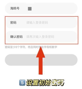 海鸥老版本
