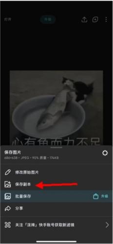 泼辣修图2024最新版