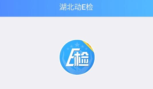 湖北动e检安卓版