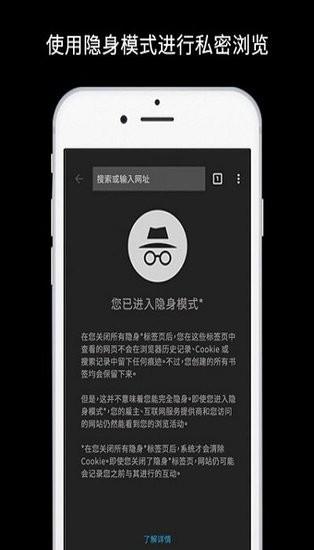 谷歌浏览器中文手机版下载