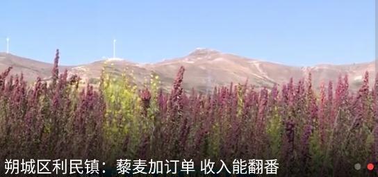 智慧朔州手机版官方版