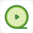 冬瓜影视手机app