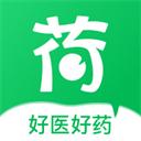荷叶健康