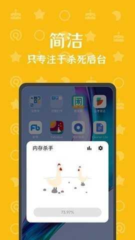 内存杀手