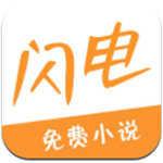 闪电小说(闪电免费小说)