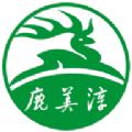 鹿美淳