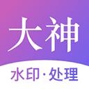 大神水印v2.3.4