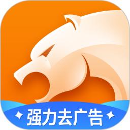 猎豹浏览器
