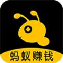 蚂蚁盒子打码录入软件