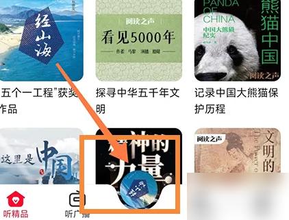 云听怎么下载音频 下载音频操作方法