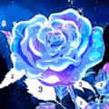 数字涂色日记