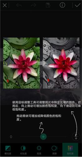 相片大师最新破解版图片7