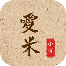 爱米小说