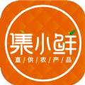 集小鲜