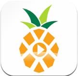 菠萝音乐app安卓版