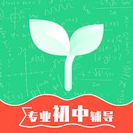 初中学习脑力训练(专业辅导)