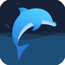 海豚睡眠