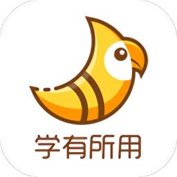 斑鸠职业客户端