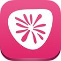 若夏文学v1.3.11