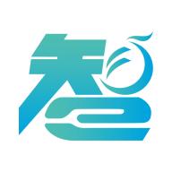 凤凰少年智app安卓版