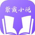 紫霞小说免费版