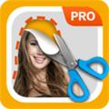 ProKnockout下载