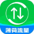 薄荷流量