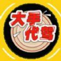 大手代驾app