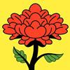  芍药花app