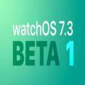 watchOS 7.6.1正式版描述文件安装