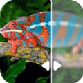 图片修复吧app手机版下载