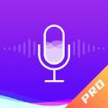 百变变声器pro app免费手机版
